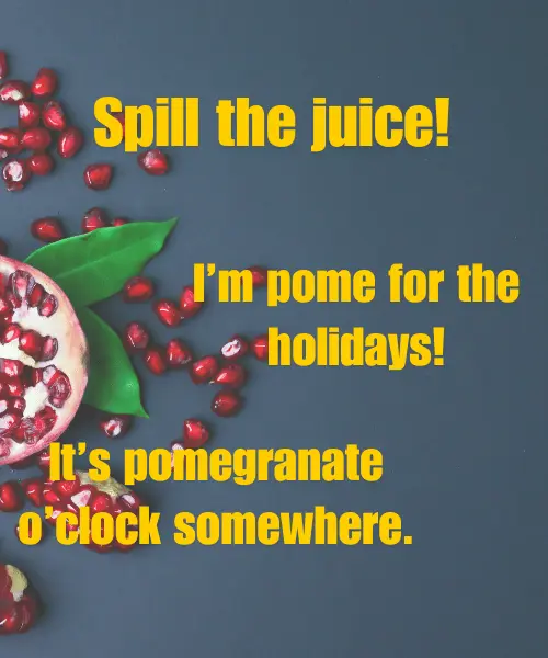 Best Pomegranate Puns