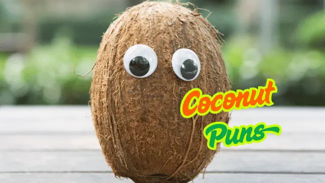 Coconut Puns