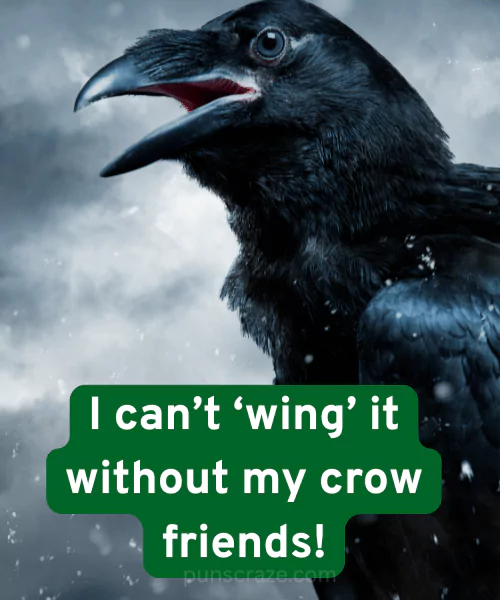 20 Hilarious Crow Puns for Every Occasion 2 Best Crow Puns