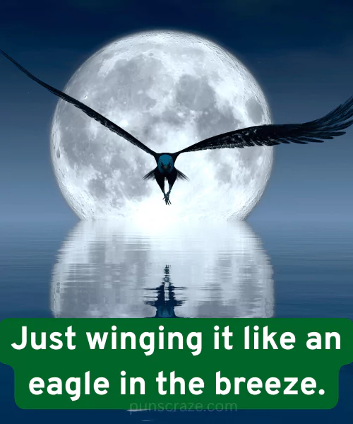 Best Eagle Puns