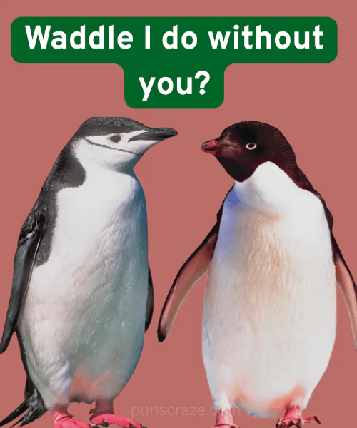 Best Penguin Puns
