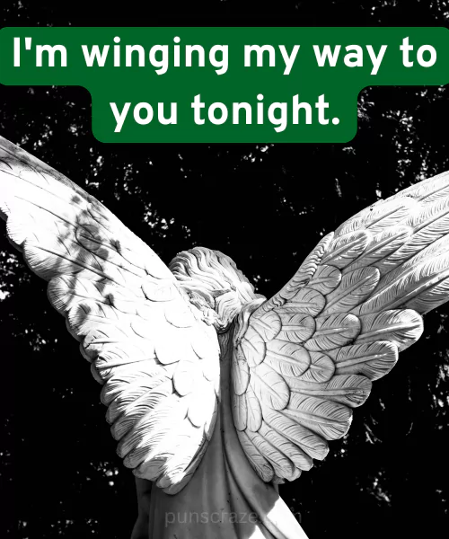 102 Bird Puns That Are Im-peck-ably Funny & Clever 4 Bird Puns Dirty