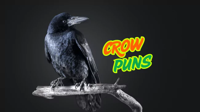 Crow Puns