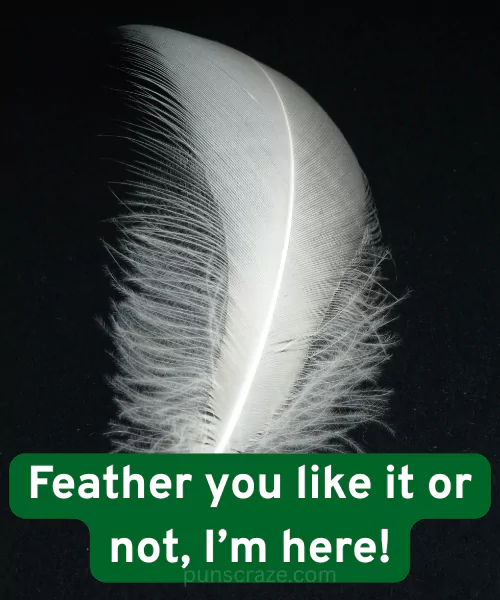 102 Bird Puns That Are Im-peck-ably Funny & Clever 3 Cute Bird Puns