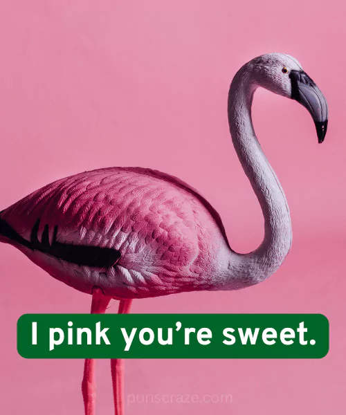 137 Best Flamingo Puns for Laughs Captions & Birthdays 2 Cute Flamingo Puns