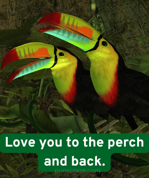 117 Toucan Puns That Are Beak-ing Hilarious 3 Cute Toucan Puns