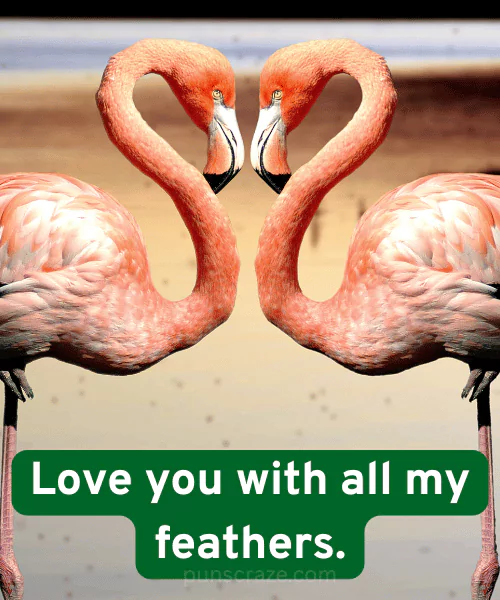 137 Best Flamingo Puns for Laughs Captions & Birthdays 3 Flamingo Love Puns
