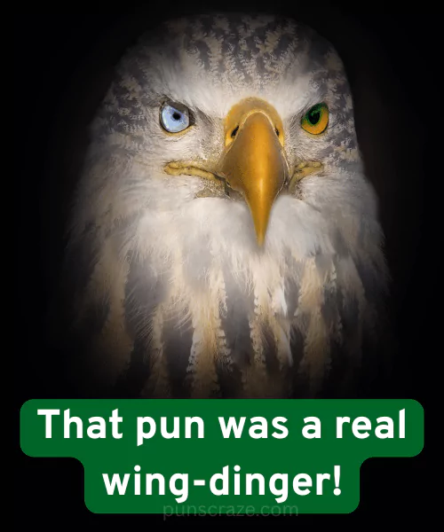 Funny Eagle Puns