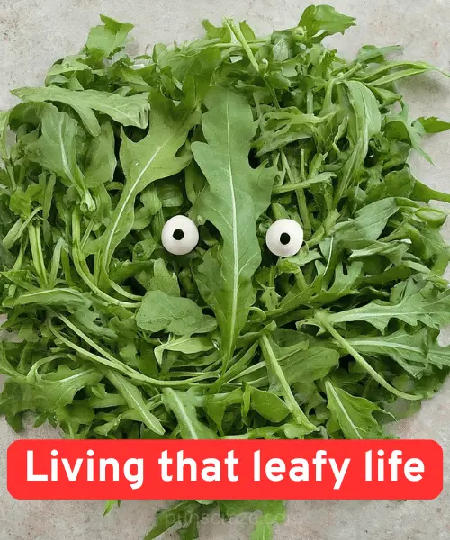 132 Funny Arugula Puns and Captions for Salad Lovers 2 Arugula Puns for Instagram Captions