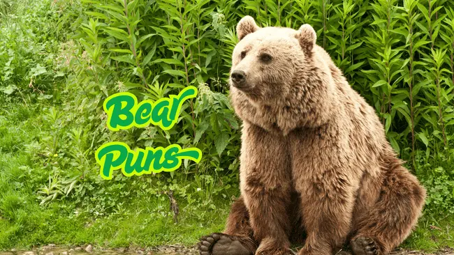 Bear Puns
