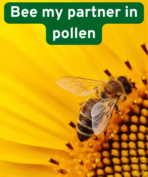 142 Bee Puns to Keep You Buzzing with Laughter 5 Bee Puns for Love
