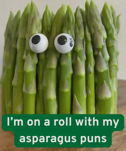 113 Hilarious Asparagus Puns You Need to Hear 2 Best Asparagus Puns
