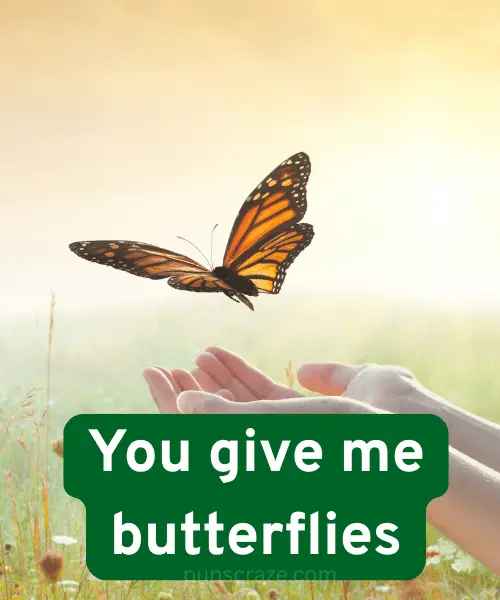 152 Bug Puns That will Totally Insect You With Laughter 2 Best Bug Puns