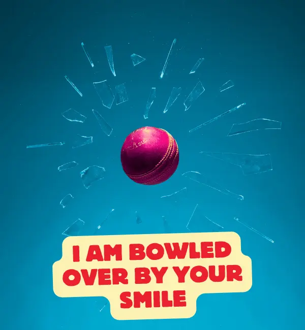 159 Cricket Puns That will Bowl You Over with Laughter 2 Best Cricket Puns