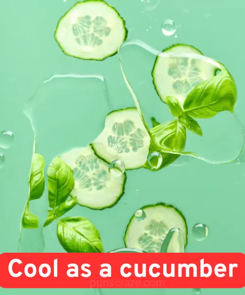 144 Cucumber Puns That Are Dill-lightfully Funny 2 Best Cucumber Puns