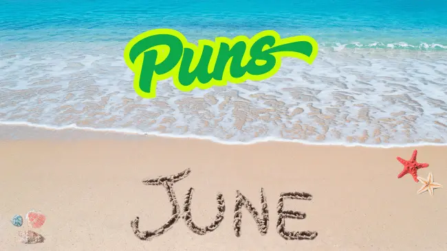 Best February Puns