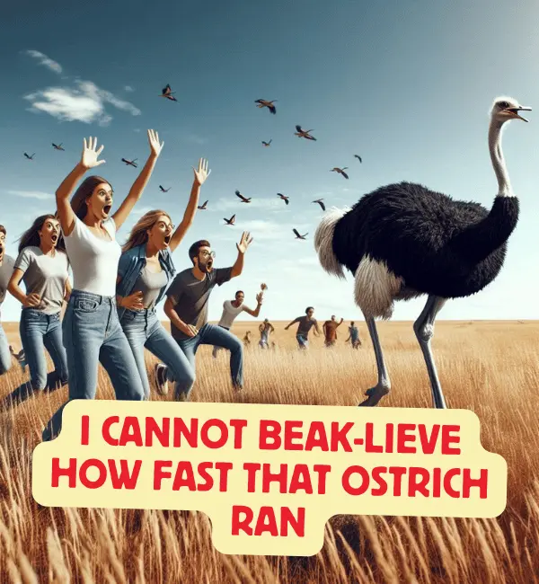 144+ Funny Ostrich Puns – Cute Dirty & Short Bird Jokes 2 Best Ostrich Puns