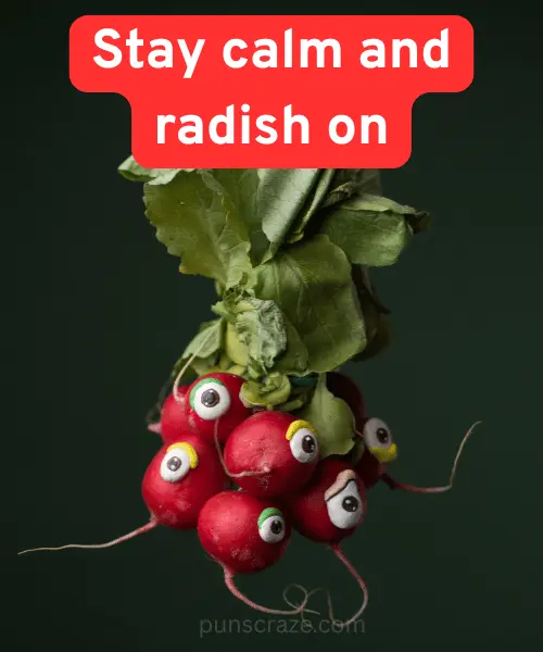 133 Radish Puns That Will Leaf You Laughing 2 Best Radish Puns