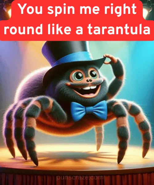 110 Tarantula Puns That Will Stick in Your Web of Fun 2 Best Tarantula Puns