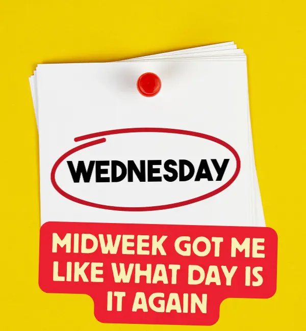 100+ Wednesday Puns to Get You Laughing Midweek 2 Best Wednesday Puns