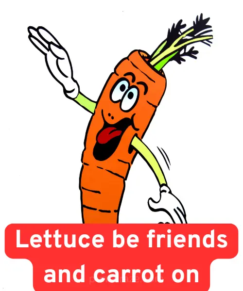 131 Carrot Puns That Are Simply Unbeatable and Fun 2 Best carrot puns