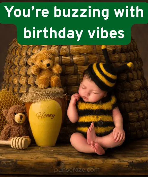 142 Bee Puns to Keep You Buzzing with Laughter 6 Birthday Bee Puns