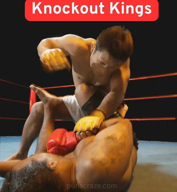 71 MMA Puns That Pack a Punch 2 Classic MMA Puns