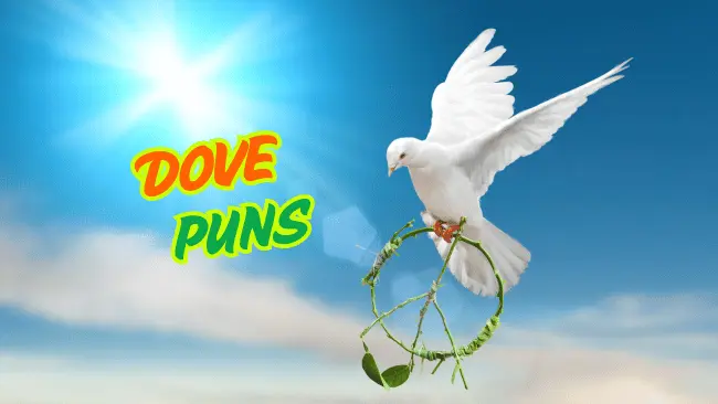 Dove Puns
