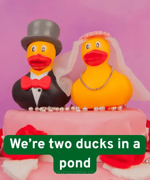 157 Duck Puns That Will Quack You Up (Cute & Funny Picks) 3 Duck Puns Love