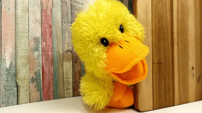 157 Duck Puns That Will Quack You Up (Cute & Funny Picks) 1 Duck Puns