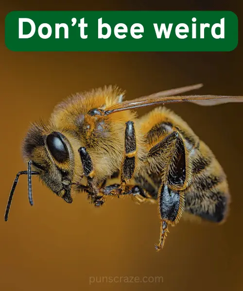 142 Bee Puns to Keep You Buzzing with Laughter 3 Funny Bee Puns