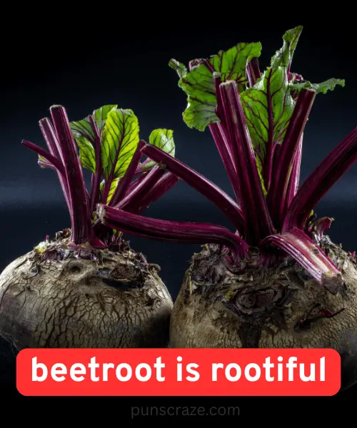 100+ Best Beetroot Puns to Add Flavor to Your Day 3 Funny Beetroot Puns