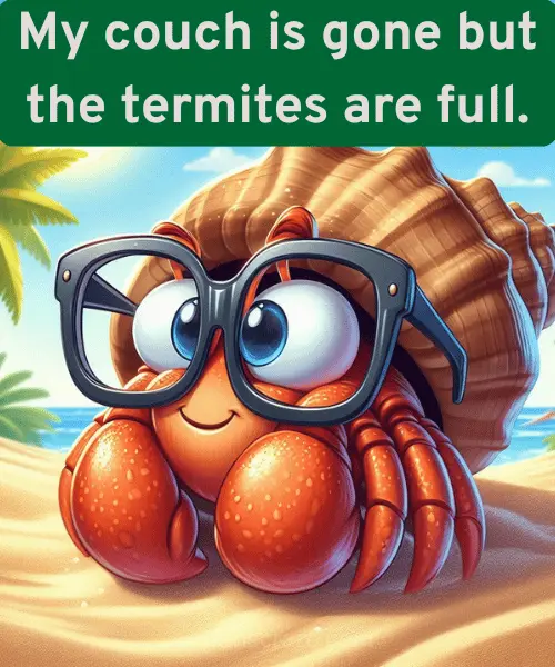 77 Termite Puns That will Eat You Up With Laughter 3 Funny Termite Puns