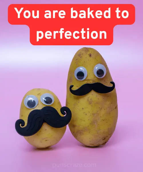 199 Potato Puns to Make You Smile and Crave a Snack 3 Jacket Potato Puns