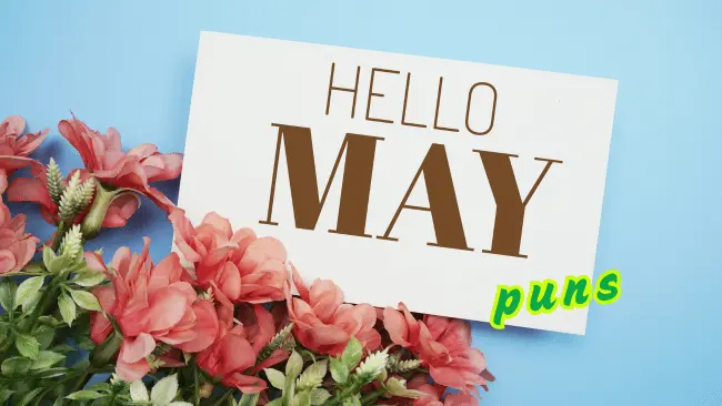 May Puns