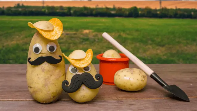Potato Puns