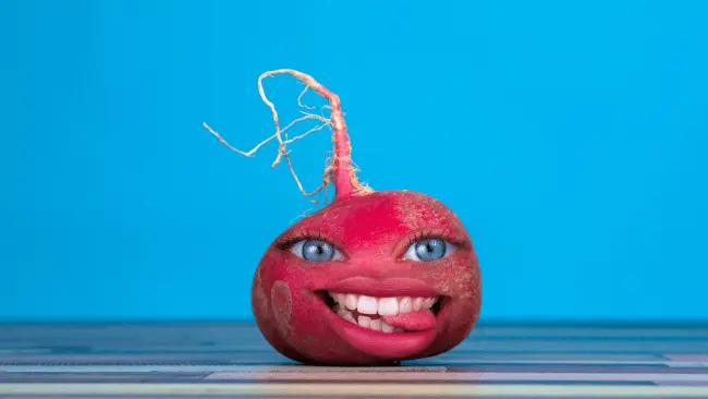 Radish Puns