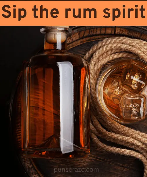 187 Best Rum Puns That Will Spice Up Your Party Vibes 3 Rum Drink Puns