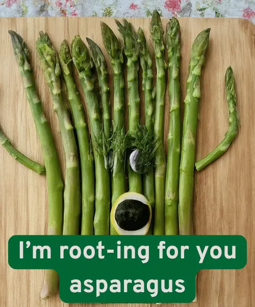 113 Hilarious Asparagus Puns You Need to Hear 3 Short Asparagus Puns