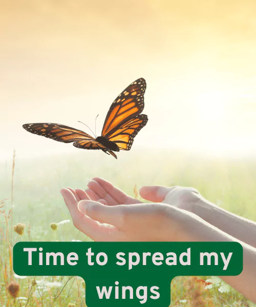200+ Best Butterfly Puns That Make You Smile 2 Best Butterfly Puns