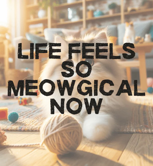 191 Funny Cat Puns That will Make You Laugh & Purr With Joy 2 Best Cat Puns