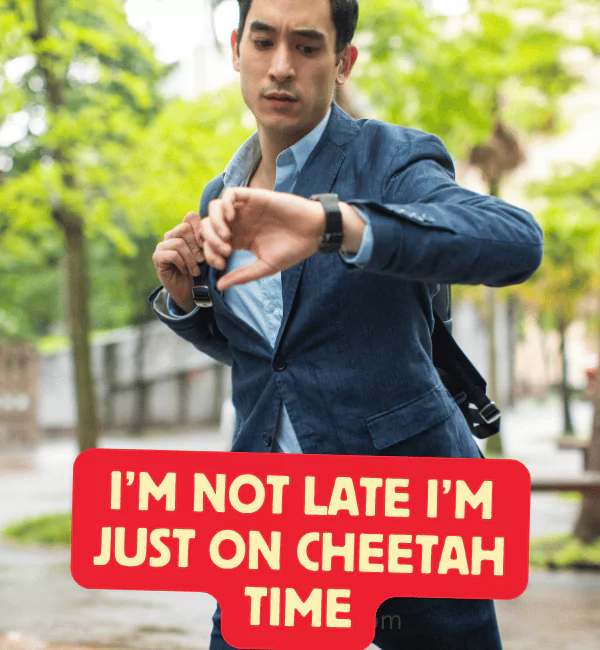 Best cheetah puns