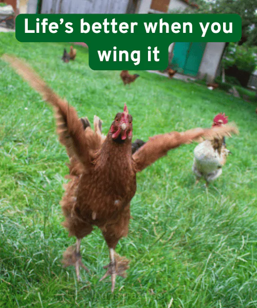 200+ Chicken Puns to Crack You Up | Best Chicken Wordplay 2 Best Chicken Puns