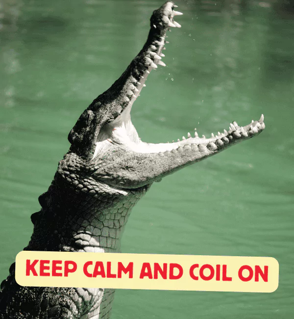 186 Crocodile Puns That Will Snap You Into Laughter 2 Best Crocodile Puns