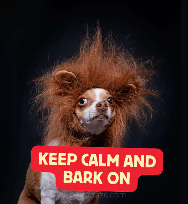 Best Dog Puns