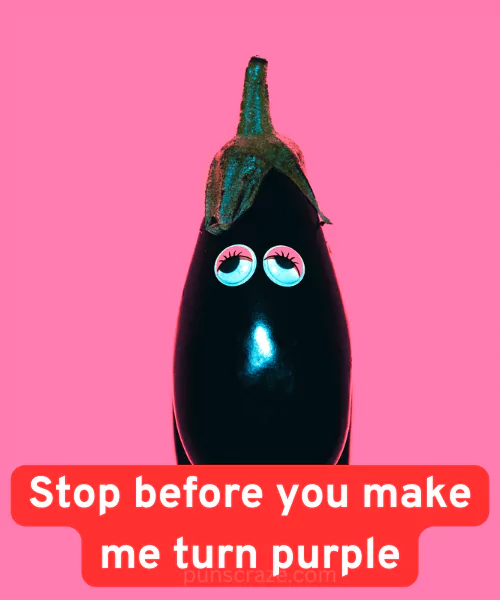 79 Eggplant Puns That will Make You Split Your Stem 2 Best Eggplant Puns