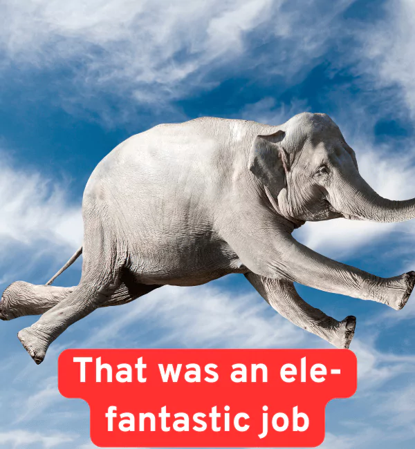177 Elephant Puns That Are Unforgettable & Hilarious 2 Best Elephant Puns