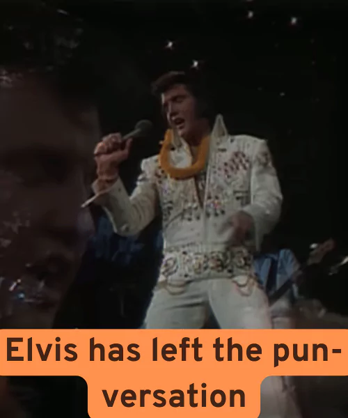 Best Elvis Puns