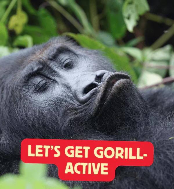 Best Gorilla Puns