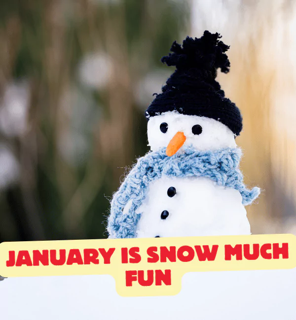 122 January Puns to Start the Year with a Smile 2 Best January Puns